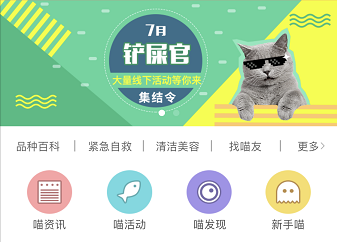 猫语者—AAPP